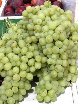Bunch of grapes Stock Photos
