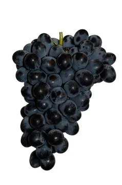 Bunch of grapes Stock Photos