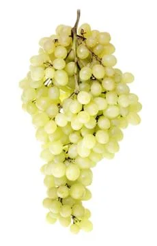 Bunch of Grapes Stock Photos