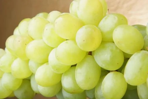 Bunch of grapes Stock Photos