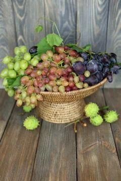 Bunch of grapes Stock Photos