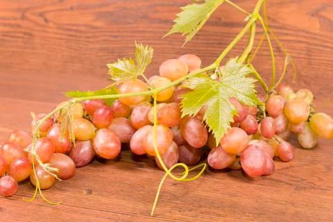 Bunch of grapes Stock Photos