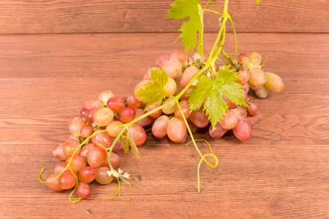 Bunch of grapes Stock Photos