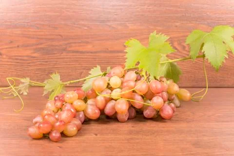 Bunch of grapes Stock Photos