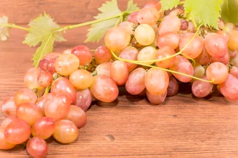 Bunch of grapes Stock Photos