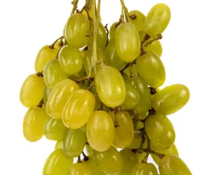 Bunch of grapes Stock Photos