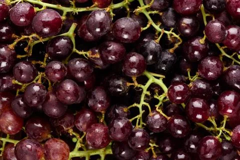 Bunch of grapes Stock Photos