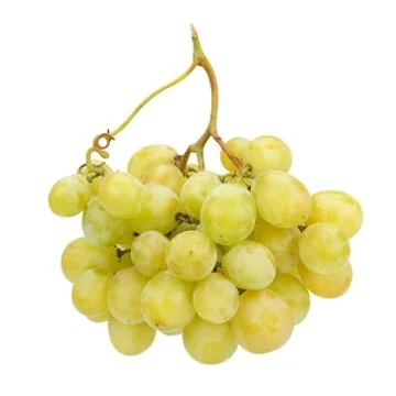Bunch of grapes Stock Photos