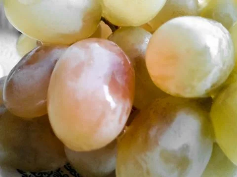 Bunch of grapes Stock Photos