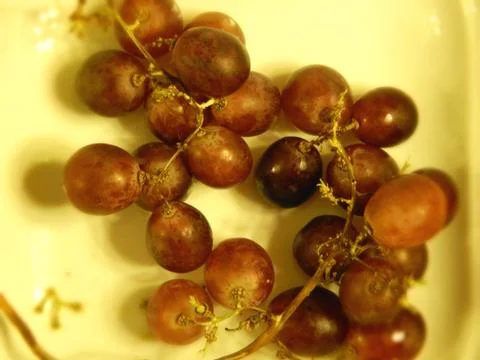 Bunch of grapes Stock Photos