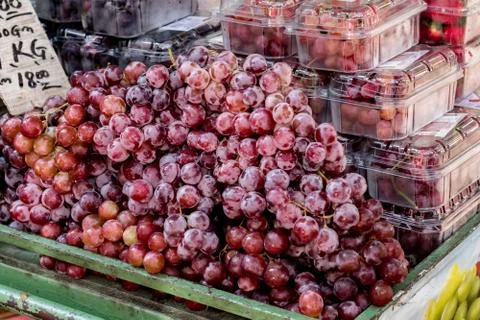 A bunch of grapes Stock Photos