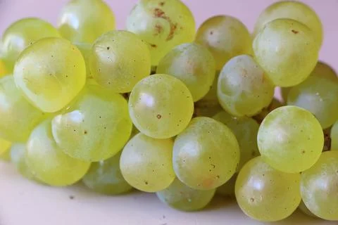 Bunch of grapes Stock Photos