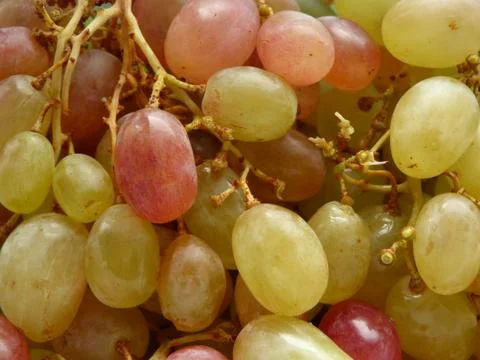 A Bunch Of Grapes Stock Photos