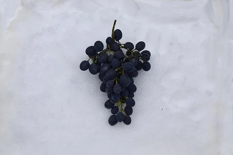 Bunch of grapes in the snow Stock Photos