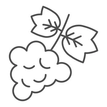 Bunch of grapes thin line icon. Grapevine with leaf wine label outline style Ilustração Stock