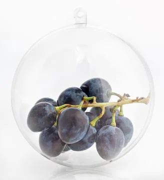 The bunch of grapes in translucent sphere Stock Photos
