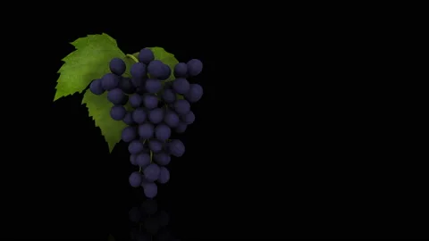 Bunch of Grapes turns on itself Stock Footage 238558577