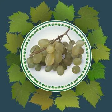 Bunch of grapes on white plate. Vector illustration Stock Illustration
