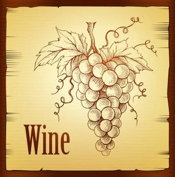 Bunch of grapes. Wine lable Stock Illustration