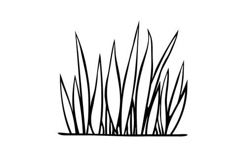 A bunch of grass. Hand drawn simple black outline vector illustration in dood Stock Illustration
