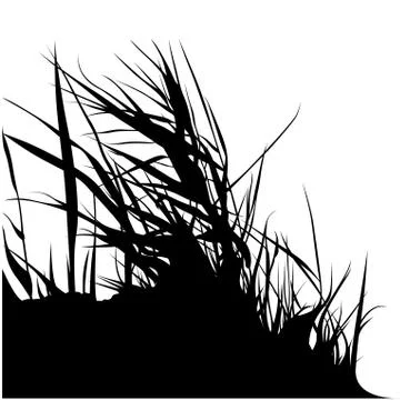 Bunch Grass Silhouette Stock Illustration