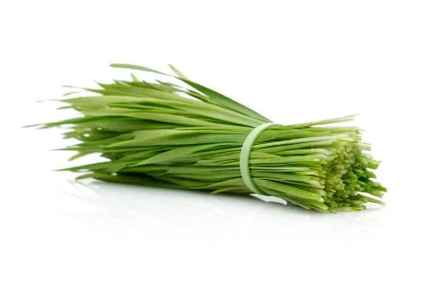 A bunch of grass on white background Foto stock