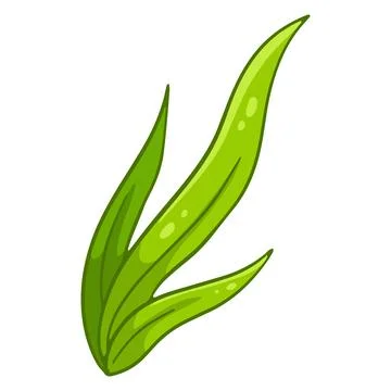 Bunch of green fresh grass. Long leaves of grass. Cartoon style. Stock Illustration
