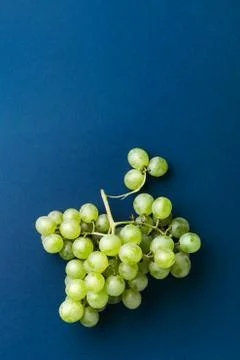 Bunch of green grape. Stock Photos