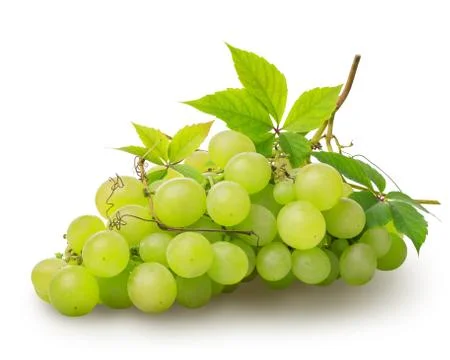 Bunch of green grape Stock Photos