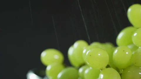 Bunch of green grapes on a black background with water drops. Stock Footage 102506514