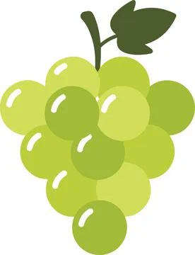 Bunch of green grapes, minimal simple vector illustration Ilustración de archivo