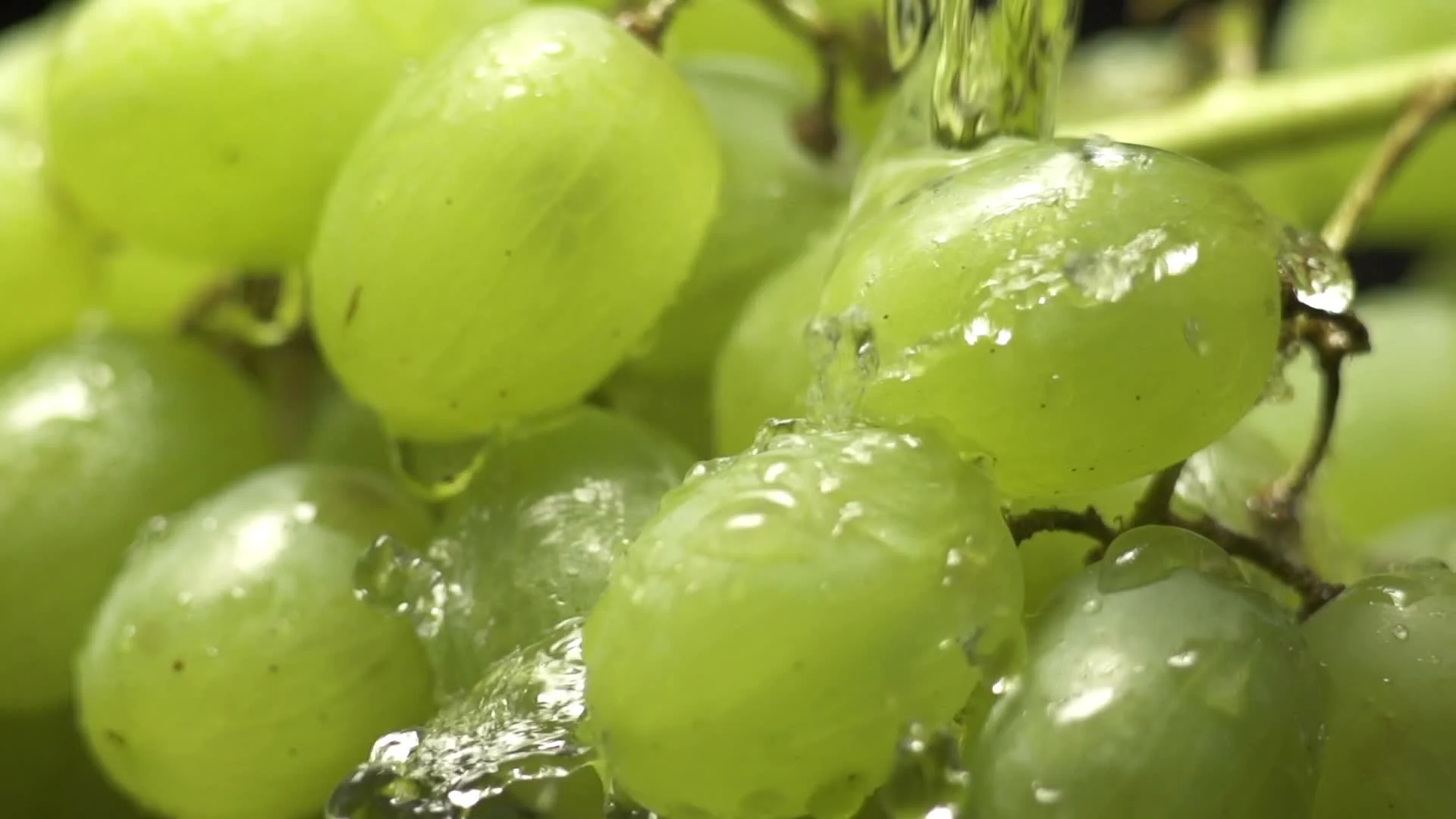 Grape sales water drops