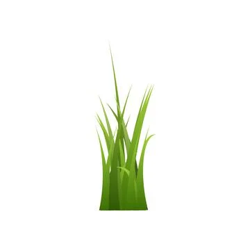 Bunch of green grass of different lengths flat style, vector illustration Illustrazione stock