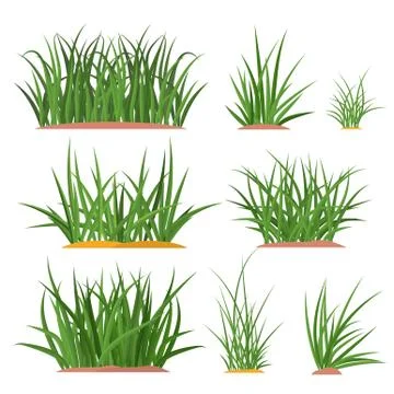 Bunch green grass set Stock Illustration