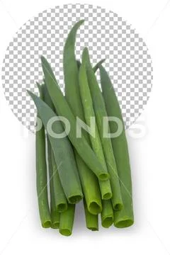 Bunch of green onion . PSD Template