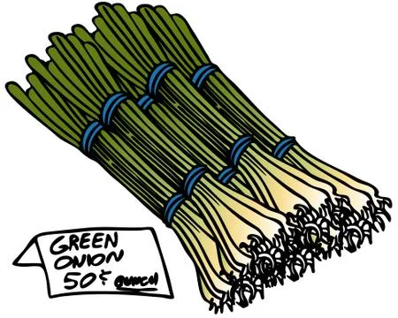 Bunch green onions Stock Illustration