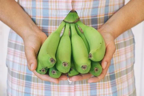 Bunch of green organic bananas in hands Stock Photos