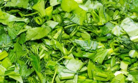 Bunch of greenery texture. Stock Photos