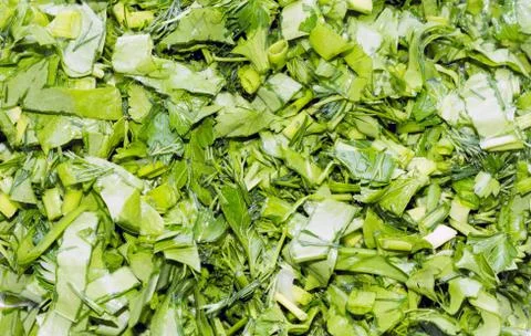 Bunch of greenery texture 스톡 사진