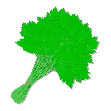 A bunch of greenery tied with a string. White background. Stock Illustration