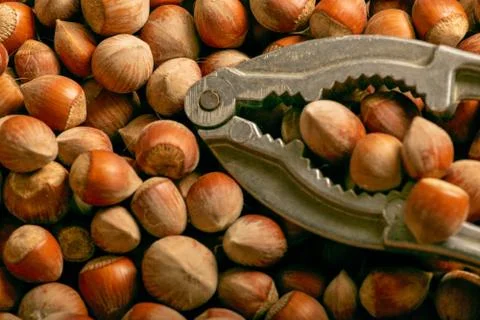 A bunch of hazelnuts and a Nutcracker. Close up. Stock Photos