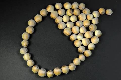 A bunch of hazelnuts isolated on black Stock Photos