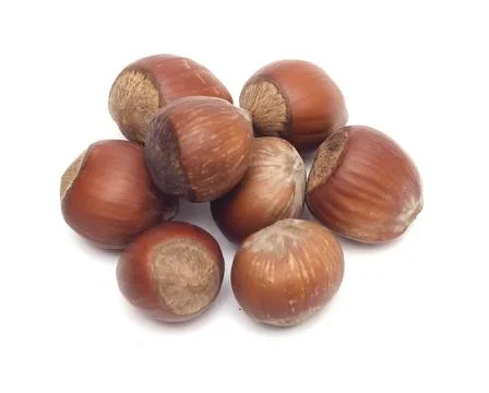 A bunch of hazelnuts isolated on a white background Stock Photos