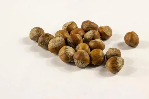 Bunch of hazelnuts isolated on white Stock Photos