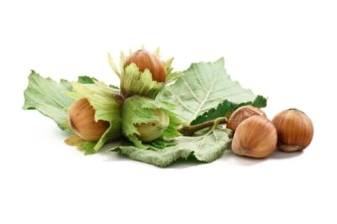 Bunch of hazelnuts Stock Photos