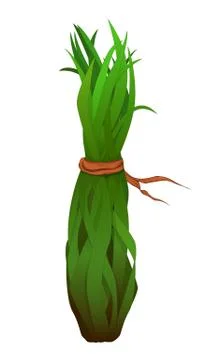 Bunch of herbs Stock Illustration