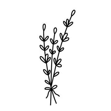 Bunch of herbs isolated on white background Stock Illustration