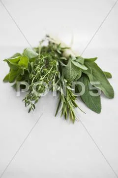 Bunch Of Herbs: Rosemary, Sage, Thyme And Oregano