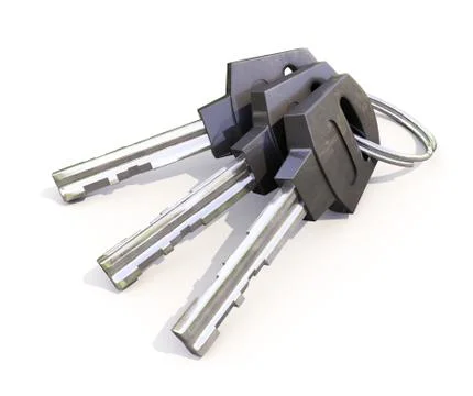 Bunch of house keys Stock Illustration