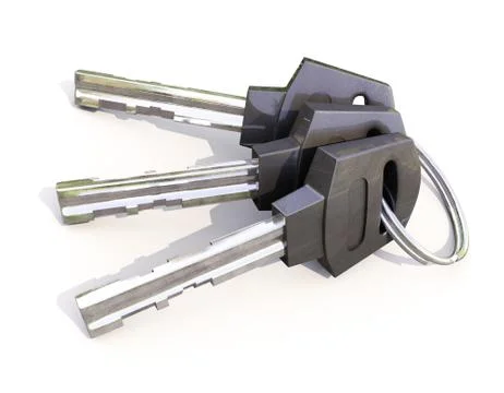 Bunch of house keys Stock Illustration